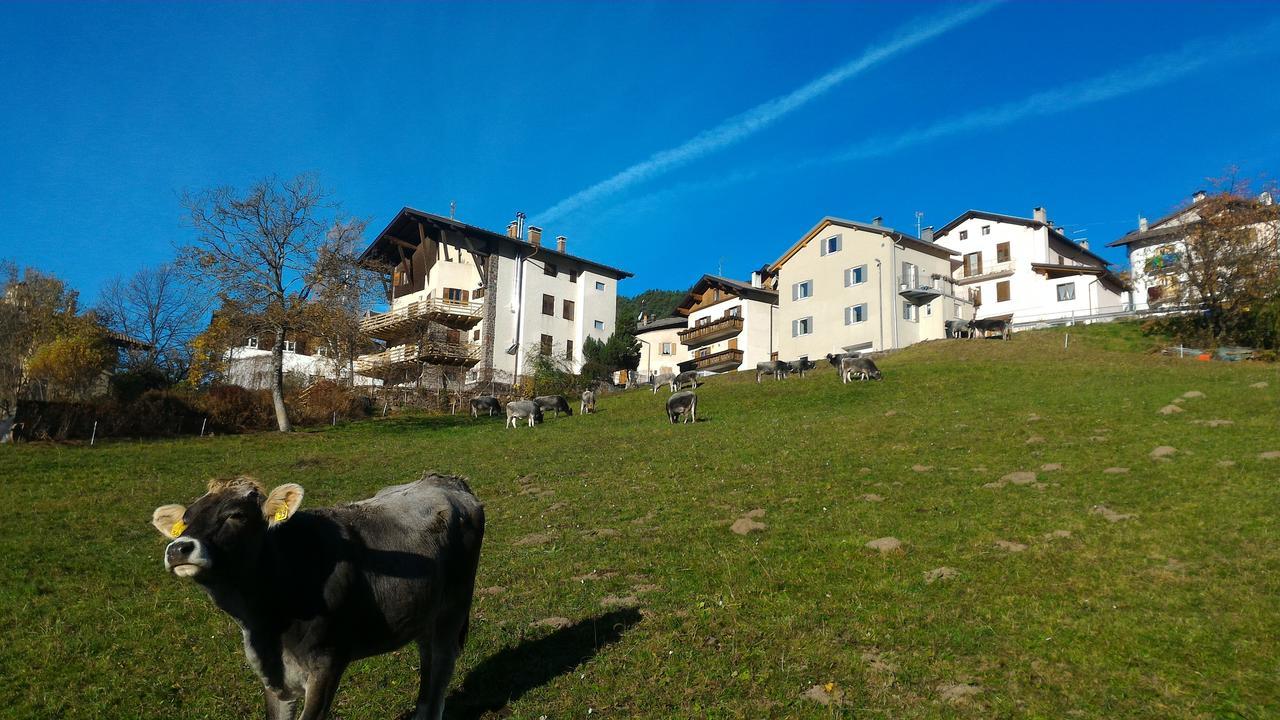 베돌로 Il Cardo Trentino 아파트 외부 사진