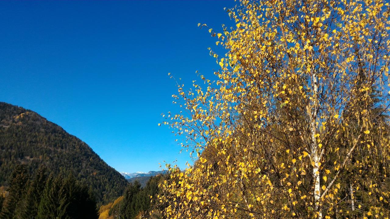 베돌로 Il Cardo Trentino 아파트 외부 사진