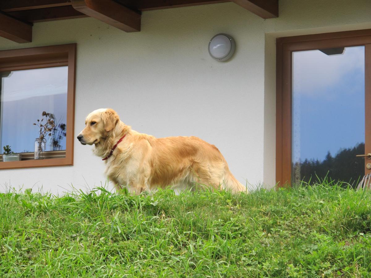 베돌로 Il Cardo Trentino 아파트 외부 사진