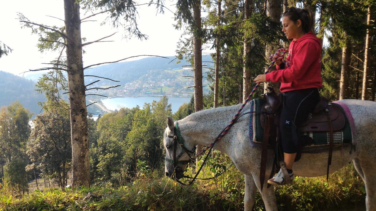 베돌로 Il Cardo Trentino 아파트 외부 사진