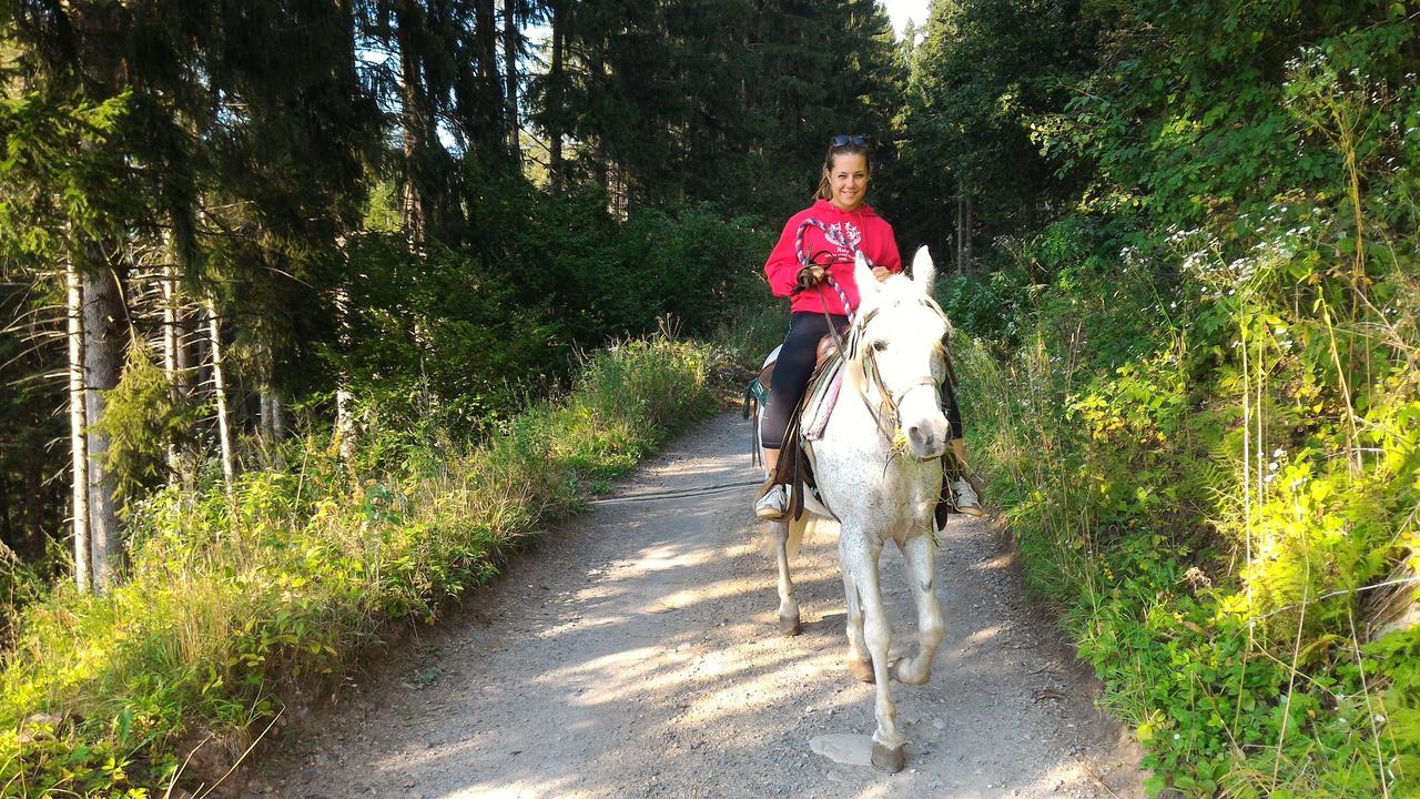 베돌로 Il Cardo Trentino 아파트 외부 사진